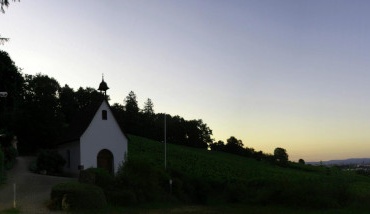 „Gloria Dei“ - ein „doppelter Rosenstock“ für unser Heiligtum der Berufungen